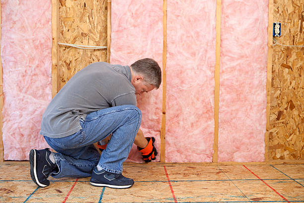 Best Blown-In Insulation  in Beaver Dam, WI