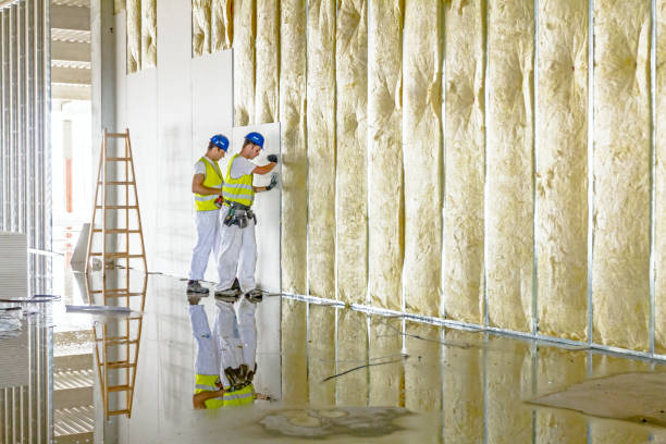 Best Insulation Air Sealing  in Beaver Dam, WI