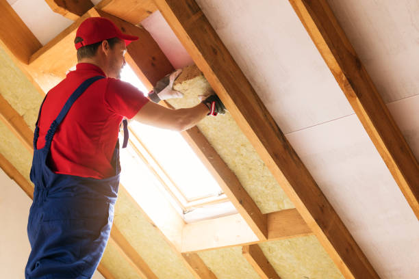 Types of Insulation We Offer in Beaver Dam, WI